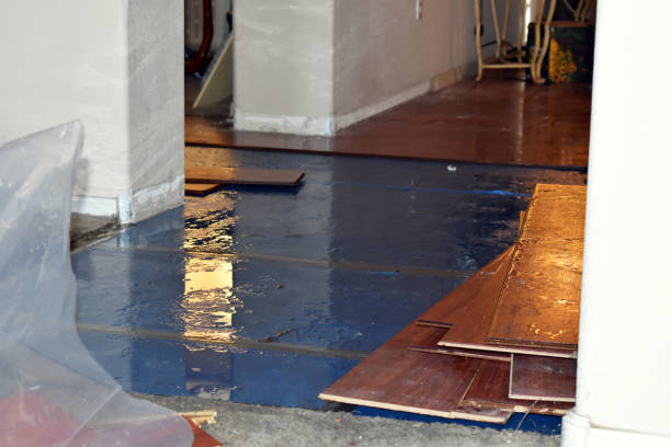 Professional Basement Flooding technician working in Springtown, PA
